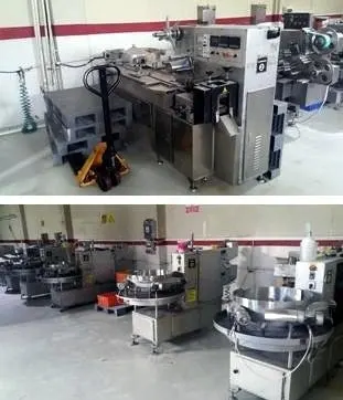 Complete Candy Factory, Lollipops and Bonbons Production Line