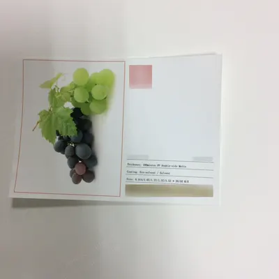 NovaStar, MS442, Water-Based Coating for Dye, Pigment Ink, 180 Micron, Waterproof, Matt Surface