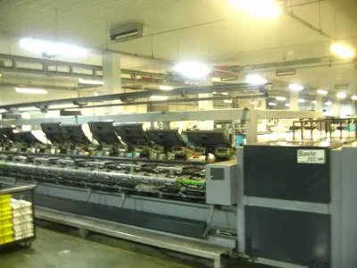 Cognetex, FRC, 1990, Finisher