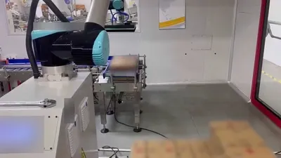 NovaStar, AT106, Collaborative Robot for Carton Palletizing, 20/25kg Payload, 10 Cycles/Min