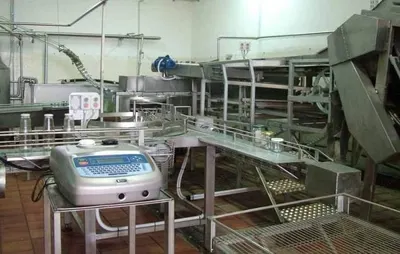 Peeled Tomatoes Production Line, Protec, 550,000 kg/day