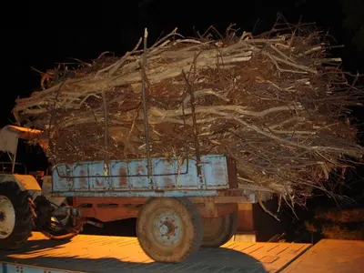 Walchandnagar, APT Power Engineering, 2011, 20 MW, 87 kg/cm², 50 Hz, Biomass Power Plant