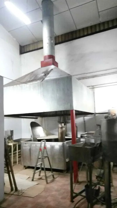Coalza, Complete Potato Fried Chips Automatic Line, 70 kg/hr Fryer Capacity, 40-250g Bagging Range