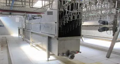 NovaStar, ML128, 1000 Birds per Hour, Semi-Auto Slaughtering and Evisceration Line