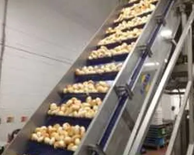 Illapack, B0201, 2015, Form Fill and Seal Packing Line, with Elevating Conveyor, Rotary Table