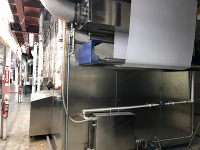 MS Printing Solutions, Ecovapor 110, Fabric Steamer, 2016