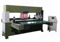 NovaStar, DT170, Fully Automatic 4-Column Conveyor Belt Travelling Head Cutting Machine