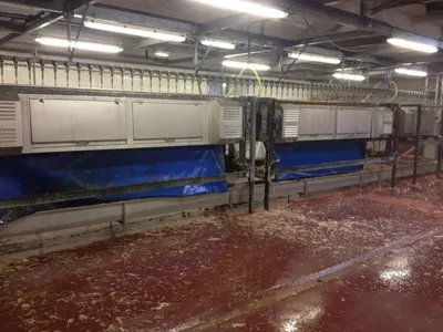 Stork, Chicken Slaughtering Line, 10,000 Birds per Hour, 21 Machines