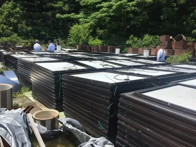 Used Solar Panels, Minimum Order 1000 Panels