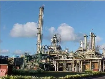 DSM, Caprolactam Plant, 60,000 MTPY Capacity, Benzene Raw Material