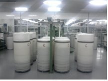 Trutzschler, Schlafhorst, Open End Spinning Plant, 1560 Rotors, 2002