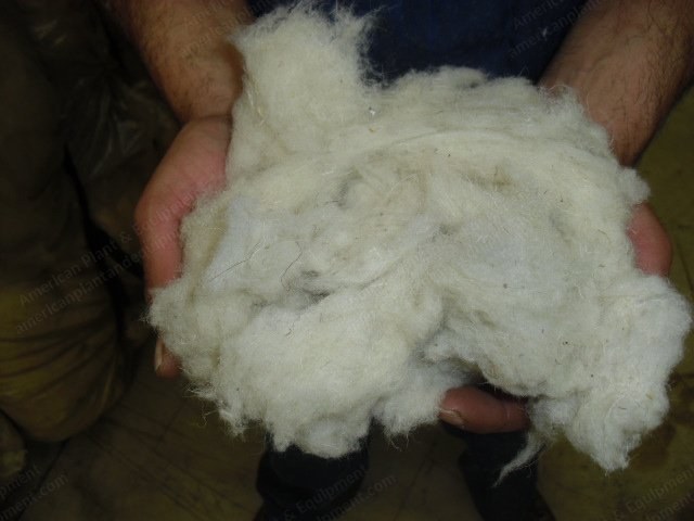 Wool Noils, 100% Wool, 28 Micron