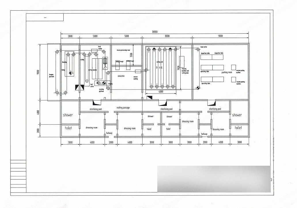 NovaStar, ML115, Chicken Slaughtering Line, 500 Birds per Hour, Stainless Steel