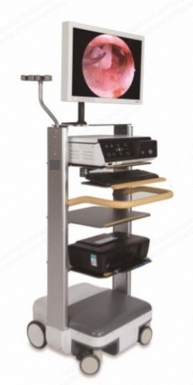 NovaStar, GL346, Integrated Endoscope System, 19 Inch HD Medical Monitor, 80W LED Cold Light, 2,000,000 Pixels