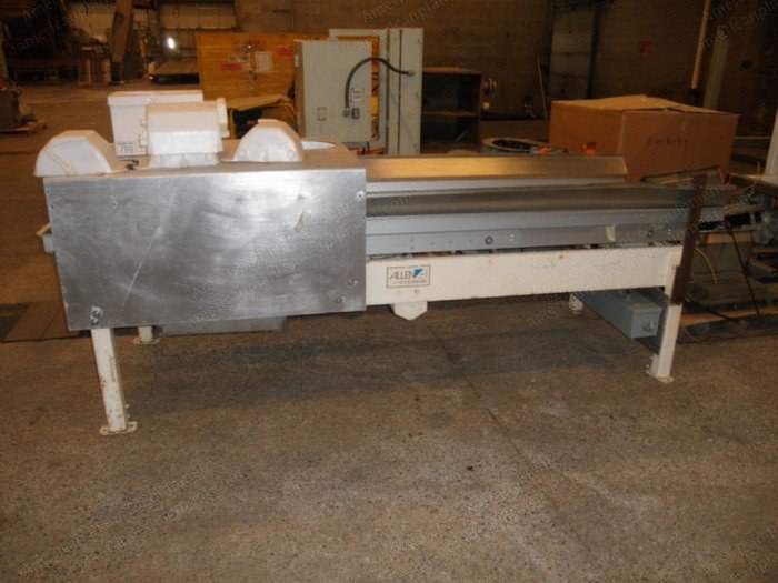 Allen, Vibratory Conveyor, Dual-Lane, 36" x 10', Aluminum