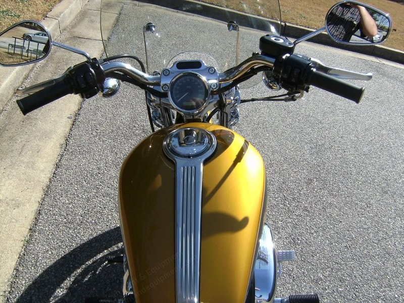 Harley Davidson, XL 1200C Sportster Custom, 2008, 1200cc, Gold and Dark Green, 6331 Miles