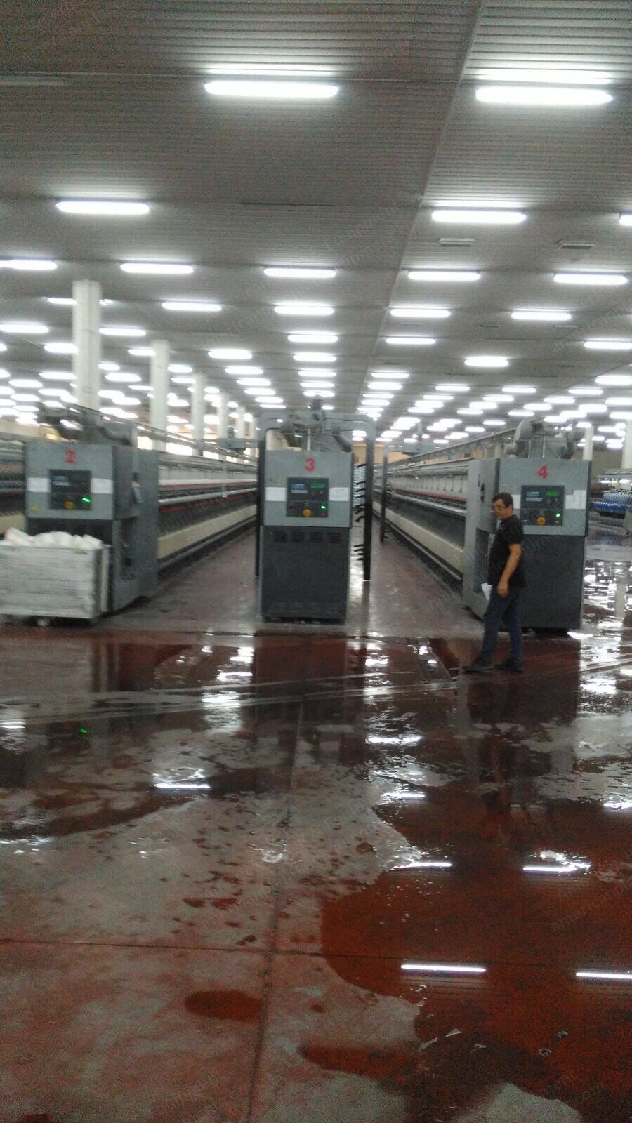 Zinser, Seydel, Sant Andrea, Savio Acrylic Plant