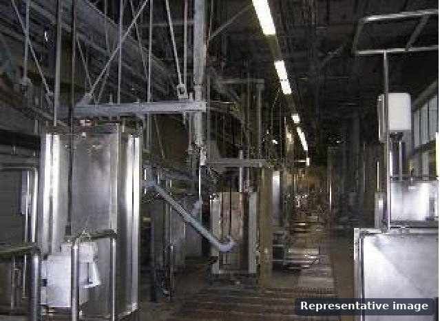 Banss and Nawi, Complete Cattle Slaughter Line, 10 Cattle per Hour, Dehider 30 to 40 Cattle per Hour, with Platforms and Rail Systems