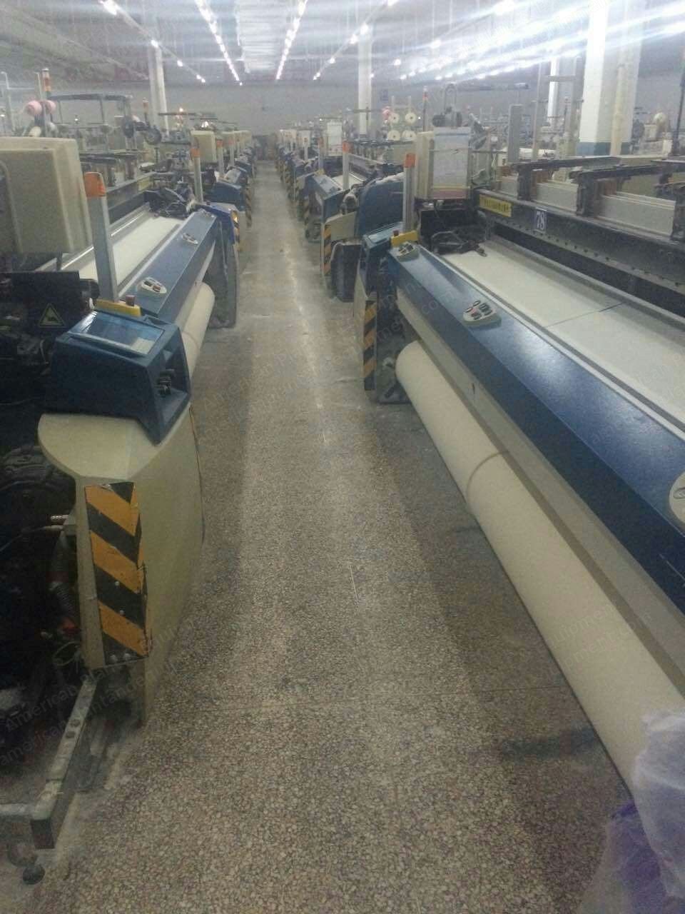 Picanol, Omni Plus 800, 2007, 3400mm, Dobby, 2 Nozzles