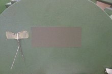 Benninger, ergotronic, 1996, Sectional Warping Machine