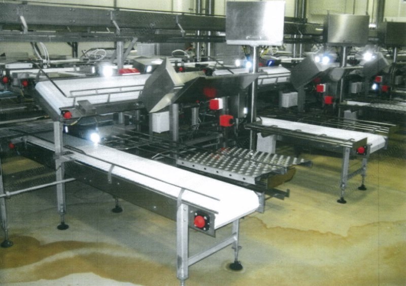 Primal Lamb Cutting Line, 2005, 240 Carcasses per Hour, USDA Approved