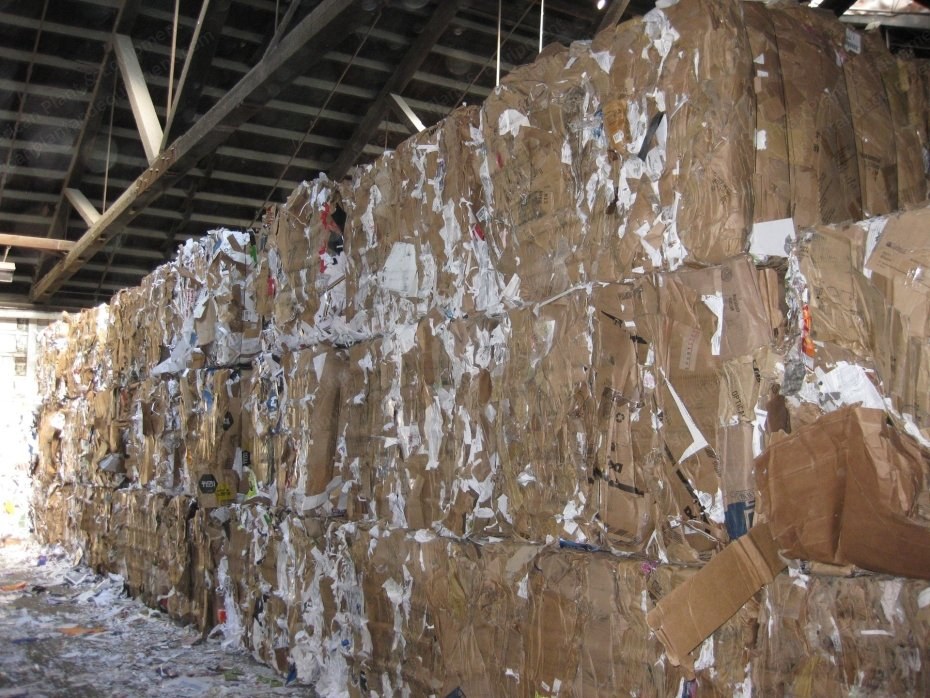 Waste Paper, Over Issued Newspapers, OCC, Tetrapak Rolls, White Waste Shavings, Bales of 520kg