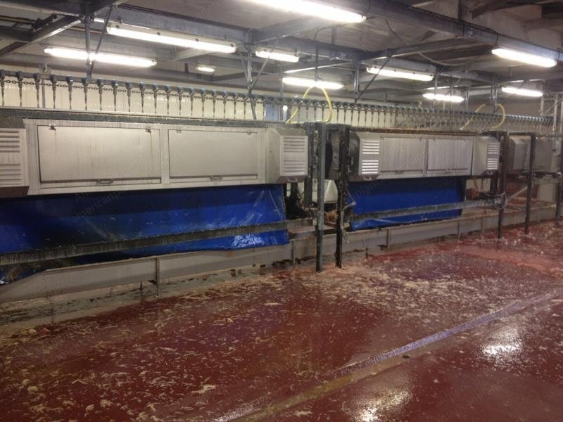 Stork, Chicken Slaughtering Line, 10,000 Birds per Hour, 21 Machines