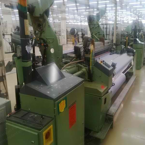 Dornier, PTS, 2006, Rapier Loom, Working Width 1900mm, Staubli Dobby 2670/2, 4 Colors