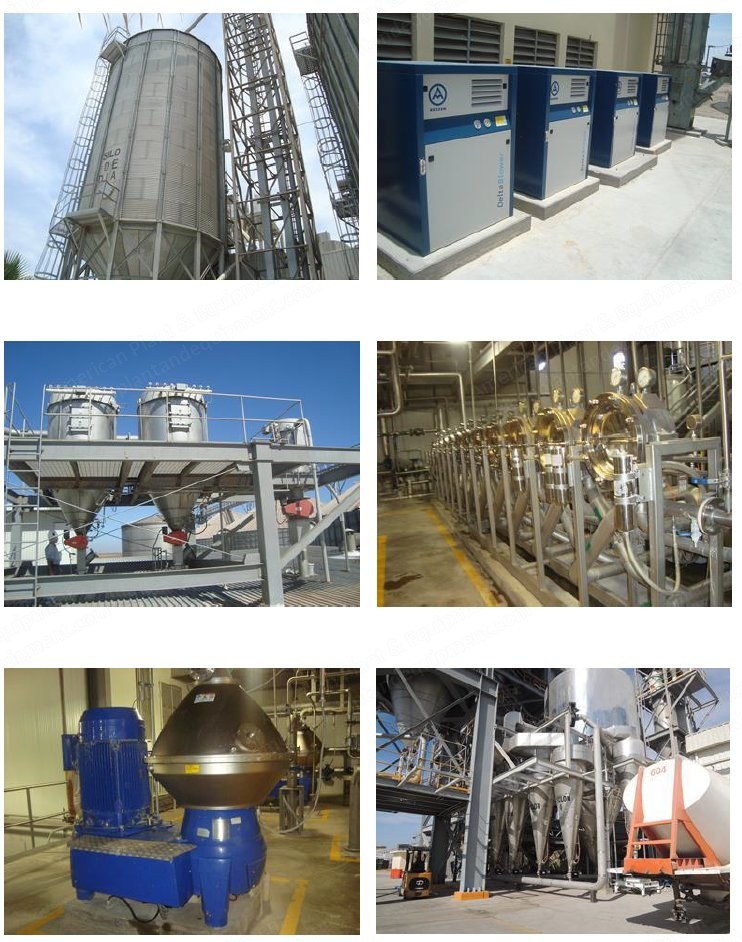 Corn / Maize Processing Plant, 10 Tons/Hour, Year 2010-2012