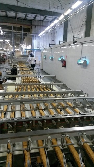Werner & Pfleiderer, Multipurpose Biscuit-Cookie Production Line, 1200mm, 60m Oven