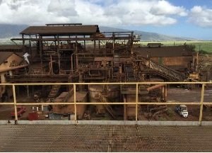 Walkers, 7200-D, Cane Sugar Mill, 7200 TPD, 5000 HP Shredder, 4x 6-Roll Mills